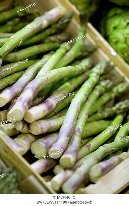 Garden Asparagus, Sparrow Gras, Wild Asparagus Asparagus officinalis, green asparagus