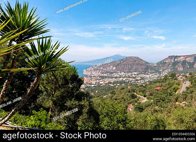 Palm tree with the Gulf of Naples and Vesuvius in the background