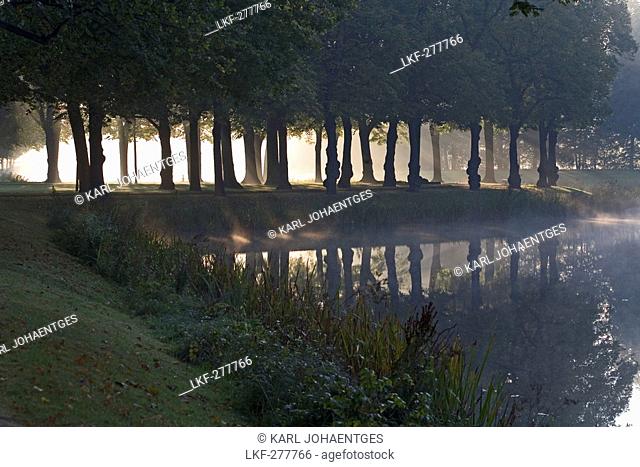 Graft, tree lines, fog, Great Garden Herrenhausen in Hanover, Hanover, Lower Saxony, northern Germany