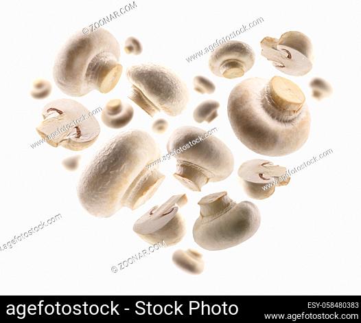 White mushrooms in the shape of a heart on a white background