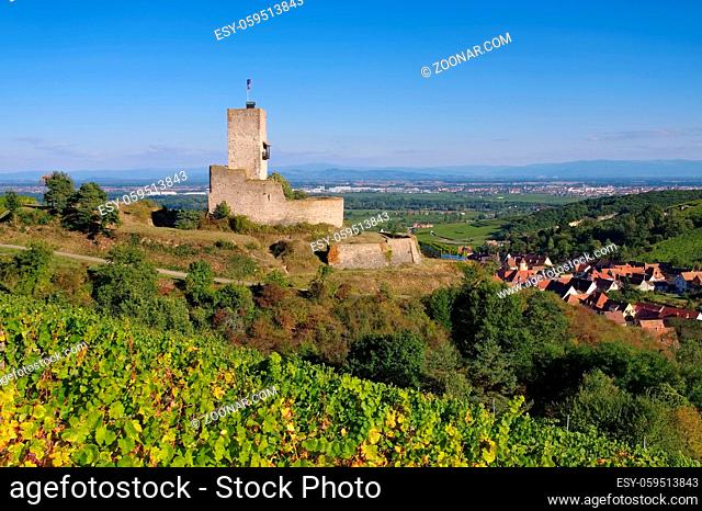 Burg Wineck, Katzenthal im Elsass, Frankreich - castle Wineck, Katzenthal in Alsace in France
