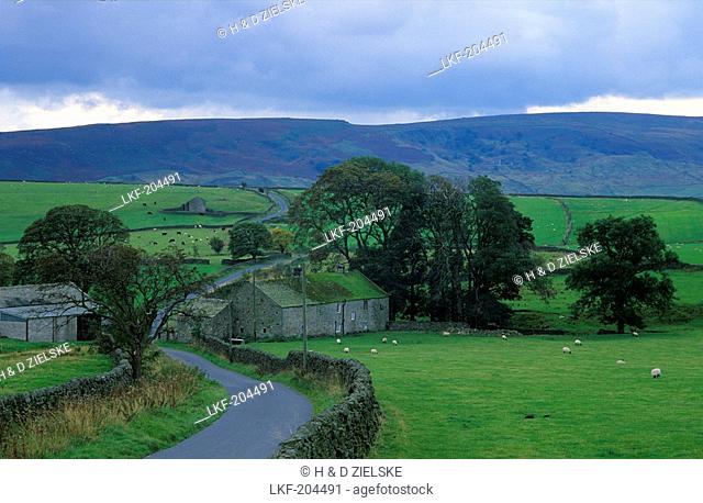 Europe, England, North Yorkshire, landscape near Hebden
