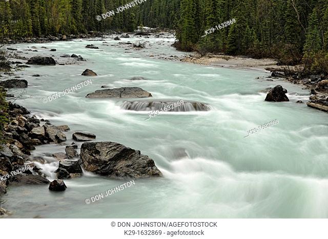 Rapids and rocks in the Kicking Horse River, Yoho NP, BC, Canada