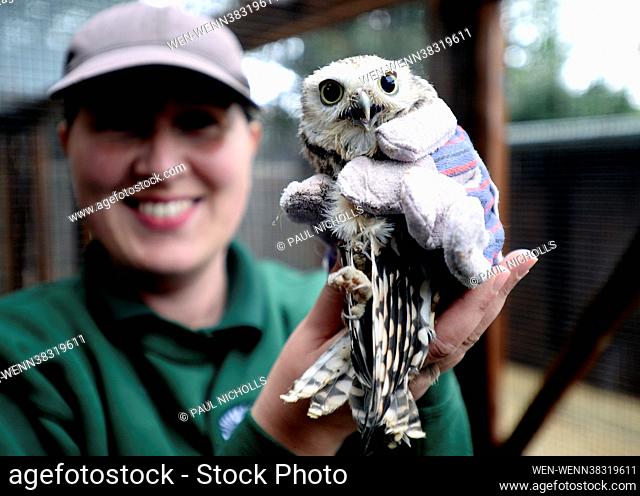 Happy hOWLoween: Something to HOOT about, Natalie Horner, Section Head Primates, Small Mammals and Birds, with 'Talan Rickman' who was hatched on the 10th...