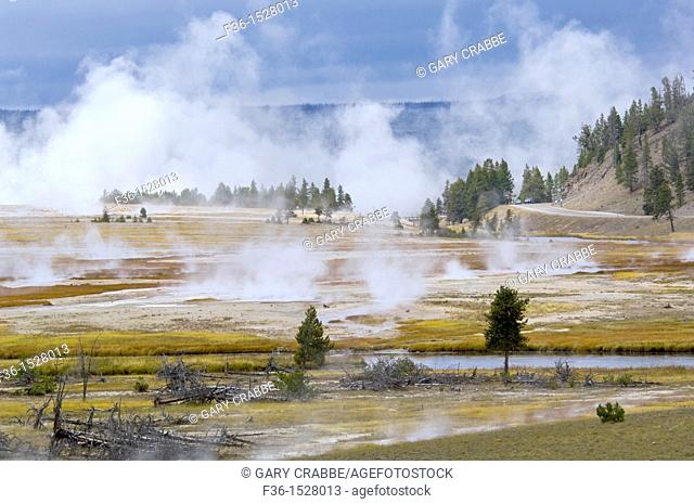 Geothermal steam rising above the Firehole River near midway Geyser Basin, Yellowstone National Park, Wyoming