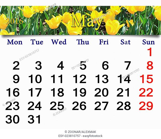 calendar for May 2016 with flower bed of yellow tu