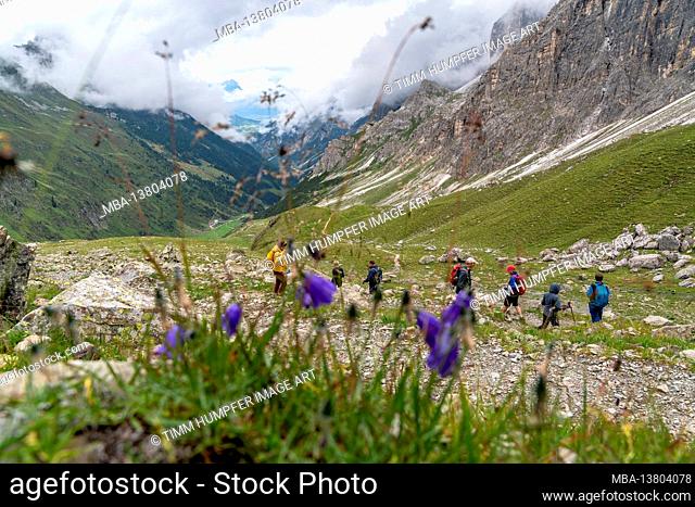 Europe, Austria, Tyrol, Stubai Alps, Pinnistal, hiking group on the Stubai High Trail