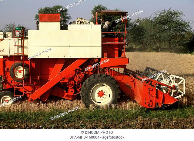 Combine harvester being operated by group of farmers harvesting golden wheat in fields of Bhopal ; Madhya Pradesh ; India
