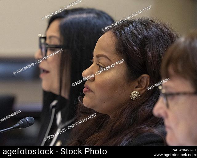 Jaime Williams, Assemblymember (D-59th District), New York State Assembly, Brooklyn, New York, center, testifies before the United States House Committee on...