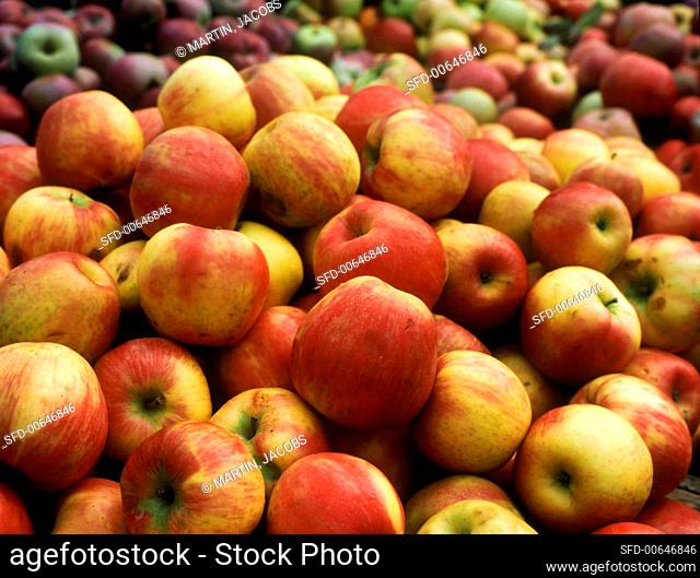 Fresh apples (filling the picture)