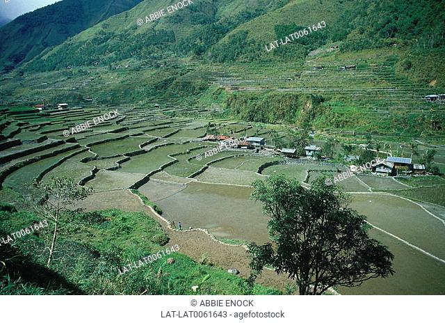 Dramatic view of rice terraces on side of mountains at Hapao
