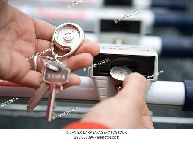 Key ring with coin for shopping cart