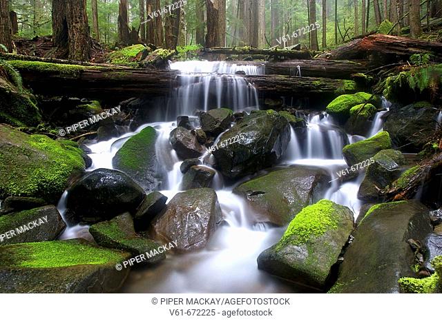 Sol Duc River, Olympic National Forest, Washington, USA