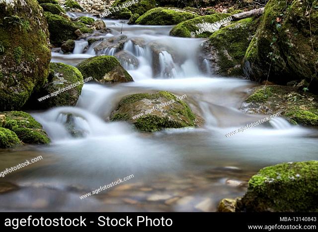 Mountain stream with moss, Jura, Switzerland