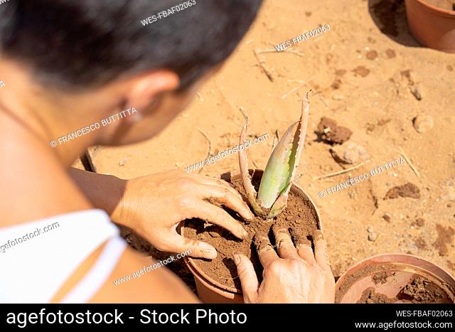 Woman planting aloe vera in pot