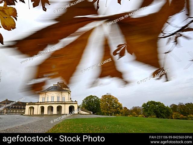 06 November 2023, Baden-Württemberg, Stuttgart: Brown-colored leaves of a chestnut tree move, driven by the autumn wind, in front of Solitude Palace (wiping...