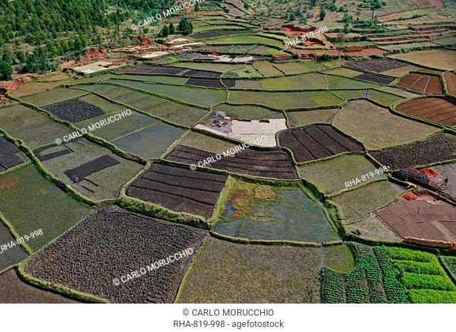 Vegetable cultivation and brick making on the rice fields, National Route RN7 between Antsirabe and Antananarivo, Madagascar, Africa