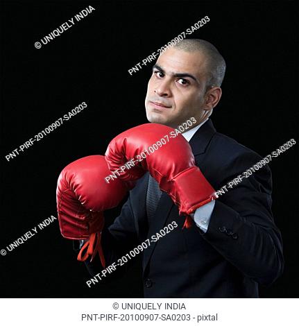 Portrait of a businessman wearing a boxing glove