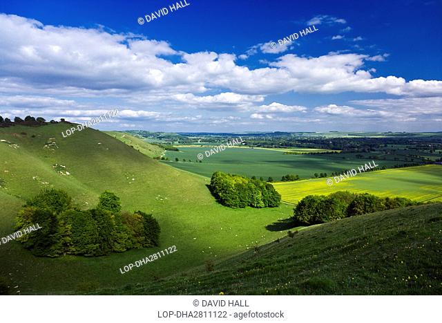 England, Wiltshire, near Alton Barnes. Pewsey Downs on the southern edge of the Marlborough Downs overlooking Pewsey Vale