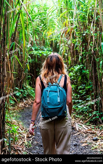 Hiker walking amidst plants exploring Arenal Volcano National Park, La Fortuna, Alajuela Province, Costa Rica