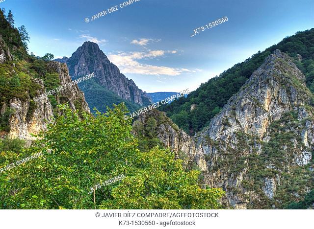 Tarna Mountain Pass. Redes Natural Park and Biosphere Reserve. Caso Council. Asturias. Spain
