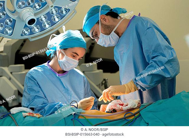 Reportage on a kidney transplant in the urology service of Nice Hospital, France. The kidney is taken from a living related donor, the recipient’s wife