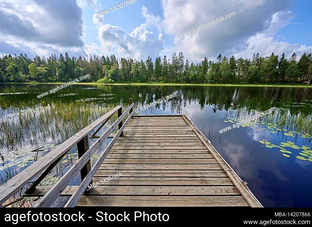 Boardwalk, fishing, lake, forest, clouds, sky, summer, Hallsjon, Halleberg, Vargön, Västra Götalands län, Vastra Gotaland, Sweden