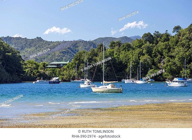 Yachts moored in the sheltered harbour, Ngakuta Bay, near Picton, Marlborough, South Island, New Zealand, Pacific
