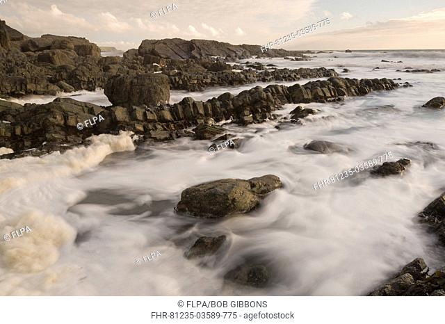 Heavily folded sandstone and mudstone rocks with surf, Hartland Quay, North Devon, England, may