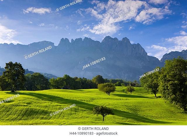 Sax, Switzerland, canton St. Gallen, Rhine Valley, meadow, trees, mountains, cross mountains, Alpstein