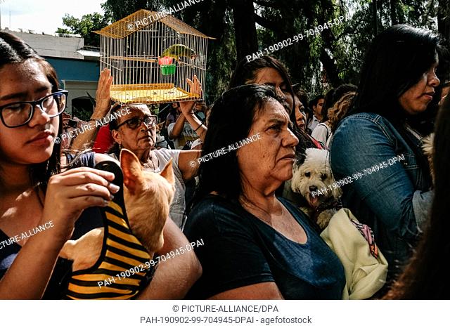 31 August 2019, Mexico, Oaxaca: A girl with her dog, a woman lifting a cage with a parrot, and other people turn to the priest to receive the blessing