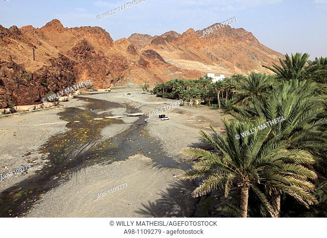 river runlet in wadi with date palms at the village of Fanja, Hajar al Gharbi, Sultanate of Oman, Asia
