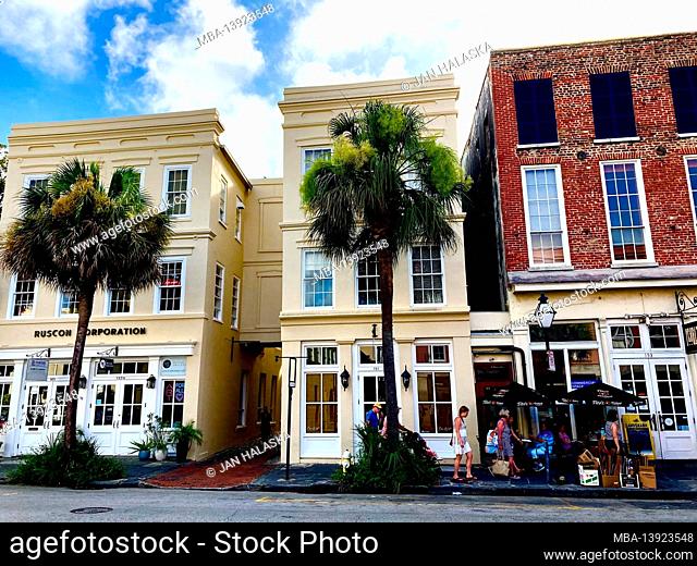 Charleston, South Carolina. Well kept Colonial era homes with palmettos in front