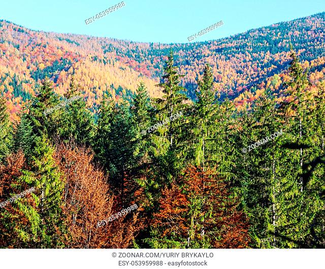 Autumn Carpathian Mountains landscape (Guta, Ivano-Frankivsk oblast, Ukraine)