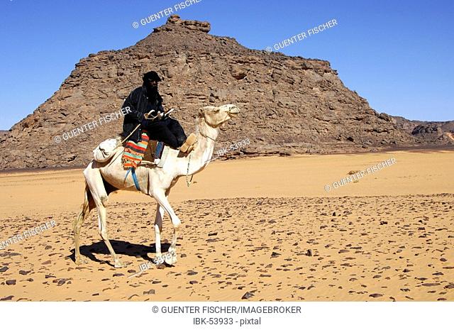 Tuareg with dromedary Acacus Mountains Libya