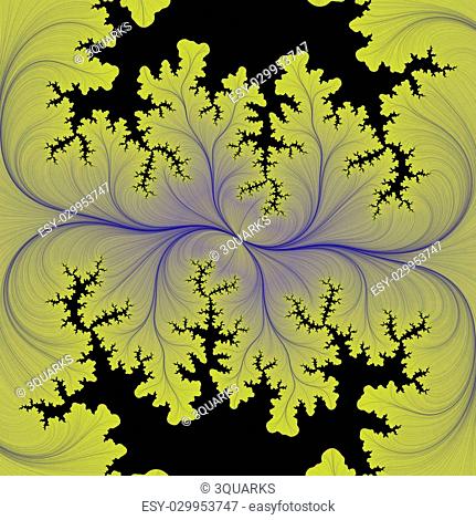 digital visualization of a fractal