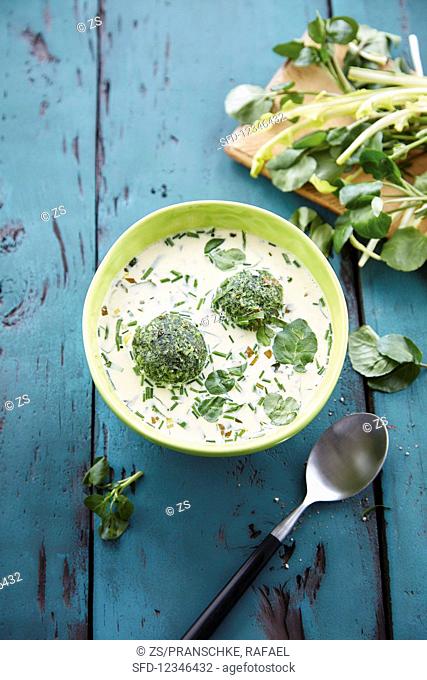 Wild herb soup with spinach dumplings