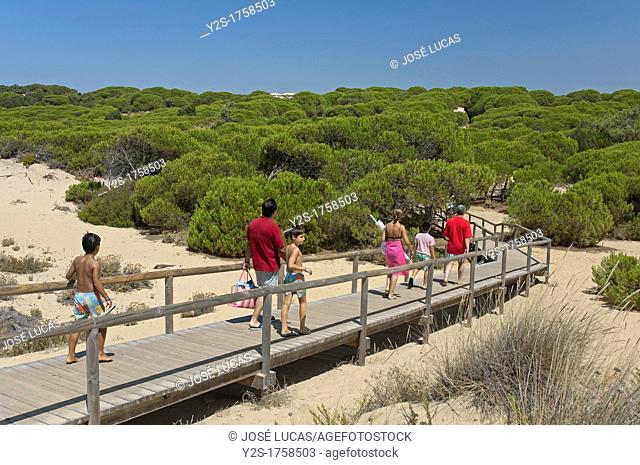 Natural Place Enebrales de Punta Umbria, Huelva-province, Spain