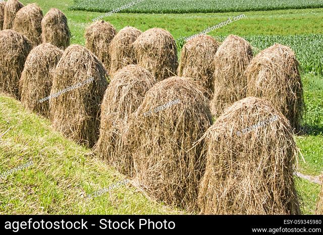 Heumanndln - die tirolerische Methode Gras zu trocknen und zu konservieren