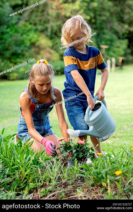 Happy caucasian brother and sister in garden watering plants and gardening together