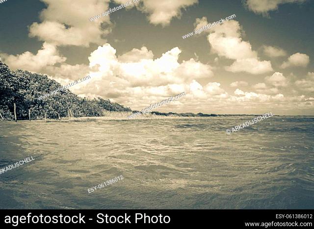 Old black and white picture of the natural panorama view to the Muyil Lagoon in tropical jungle nature forest in Sian Ka'an National park Muyil Chunyaxche...