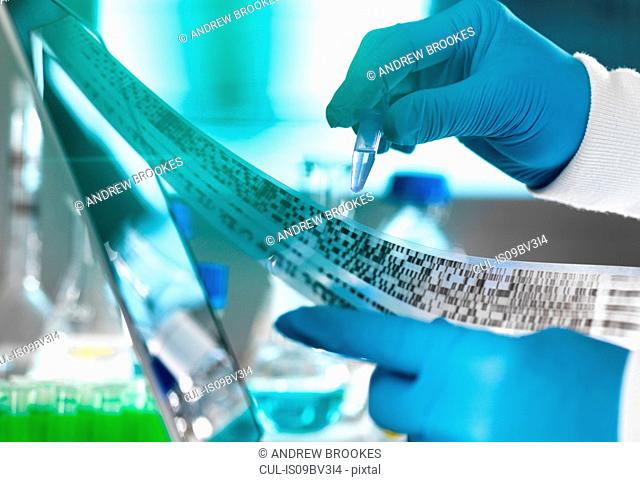 Research scientist holding a sample in a vial with DNA results on autoradiogram gel in laboratory, close up of hand