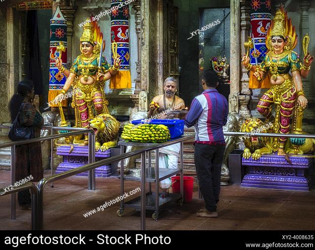 A priest and worshippers in the Sri Veeramakaliamman Temple, Serangoon Road, Little India, Republic of Singapore. This Hindu temple is one of the oldest in...