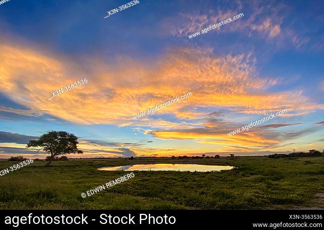 Sunset in Etosha National Park, Namibia