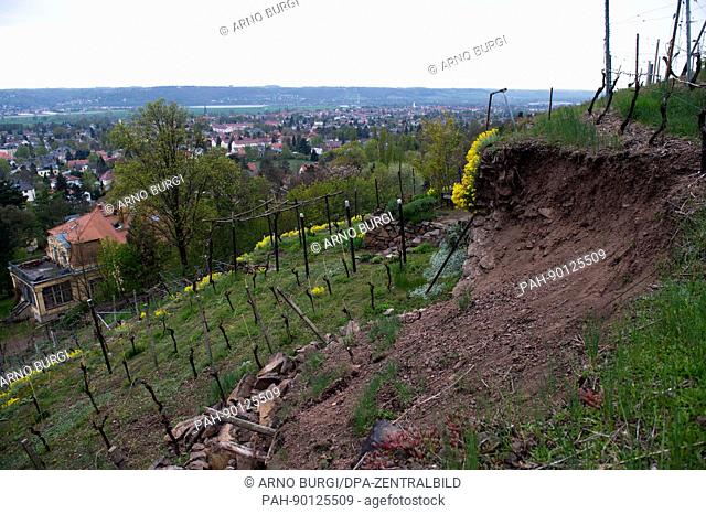 Decreipt dry walls at the vineyard ""Terrassenberg"" can be seen in Radebeul, Germany, 21 April 2017. The wall is made of natural stone and was constructed...