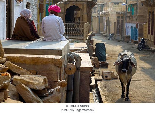 Old couple watching passing cow in Jaisalmer