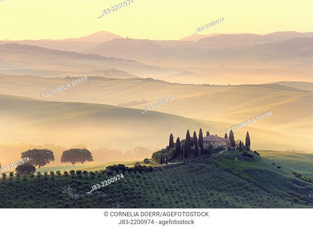 Typical Tuscan farmhouse with cypress trees, Val d'Orcia, Orcia Valley, Tuscany Landscape, UNESCO world heritage site, San Quirico d'Orcia, Siena Province