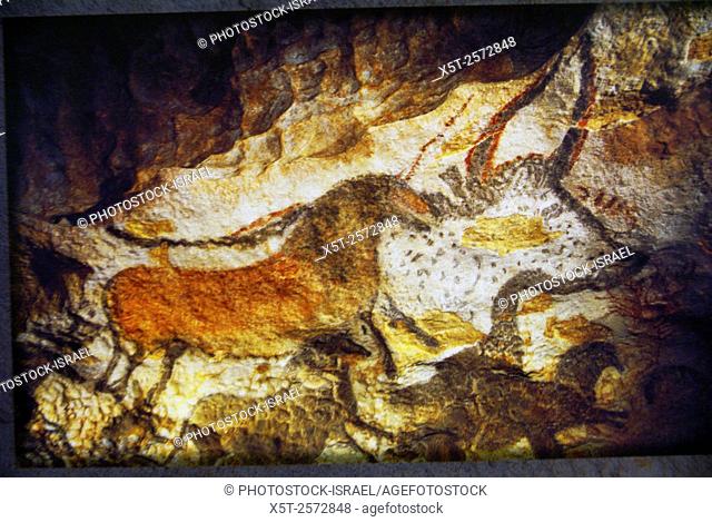 Paleolithic cave painting, Lascaux Cave, France. These are horse and cow figures in the central gallery. The Lascaux cave paintings in south-western France