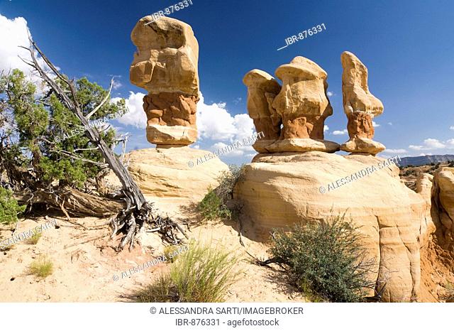 Sandstone formations in Devils Garden, Grand Staircase Escalante National Monument, Utah, USA, North America