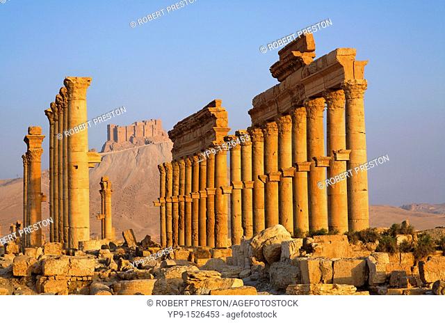 The Colonnaded Street and the Arab Castle, Palmyra, Syria